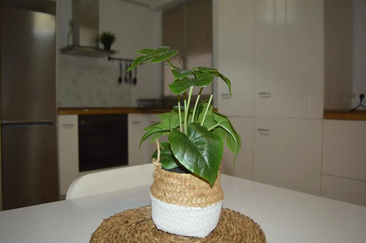 Wish Suite Salado De Sevilla Spain